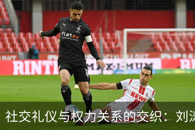 社交礼仪与权力关系的交织：刘涛事件的分析